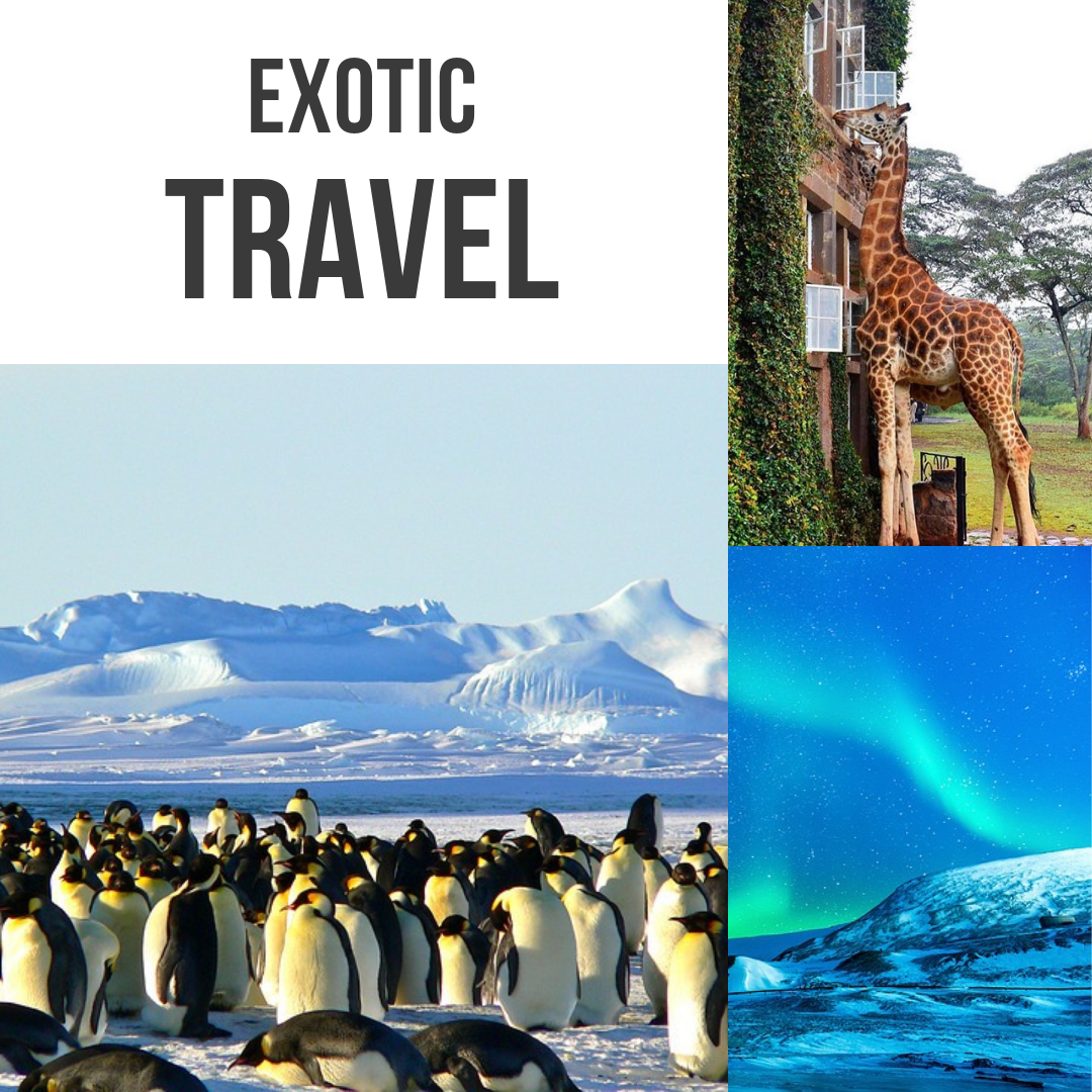 Exotic Travel | Proficient Travel, Inc.