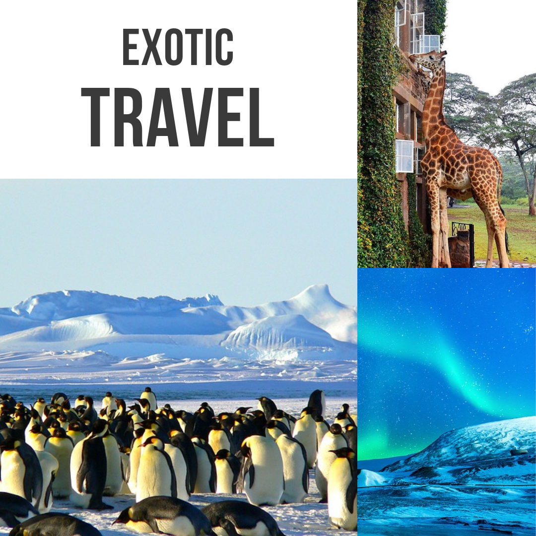 Exotic Travel Vacations